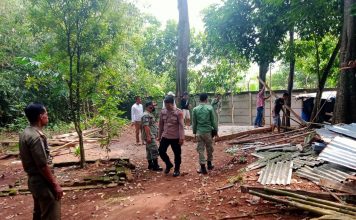 Bangunan Liar di TPU Curugbadak Dibongkar Petugas